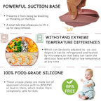 Silicone Suction Plate with Matching Utensils