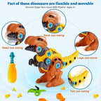 DIY Building Colorfull Dinosaur Toy For Kids
