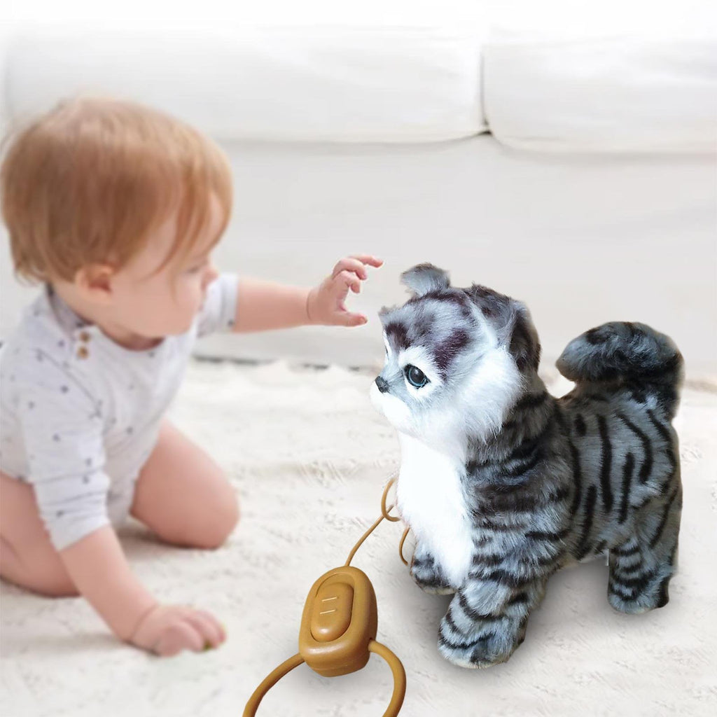 Musical Walking Cat Plush Toy With Remote