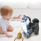 Musical Walking Cat Plush Toy With Remote