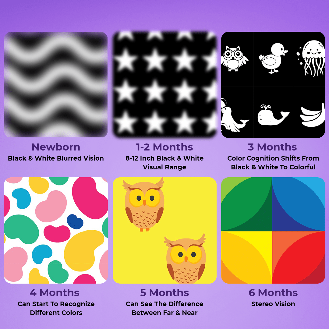 High Contrast Sensory Flash Cards For Babies